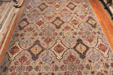 10x14 Handknotted Aryana Area Rug