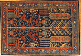 4x6 Hand Knotted Aryana Area Rug