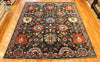 8x10 Hand Knotted Aryana Area Rug