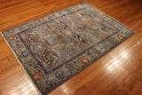 4x6 Hand Knotted Fine Aryana Area Rug