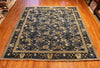 8x10 Hand Knotted Fine Aryana Area Rug