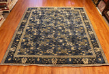 8x10 Hand Knotted Fine Aryana Area Rug