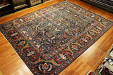 9x12 Hand Knotted Aryana Area Rug