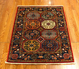 3x4 Hand Knotted Aryana Area Rug