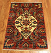 2x3 Hand Knotted Aryana Area Rug