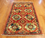 2x4 Hand Knotted Aryana Area Rug