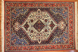 7x9 Hand Knotted Persian Area Rug