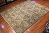 8x10 Hand Knotted Transitional Area Rug