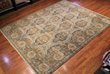 8x10 Hand Knotted Transitional Area Rug