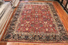 10x13 Hand Knotted Sarouk Area Rug