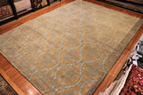 10x14 Hand Knotted Transitional Area Rug