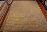 10x14 Hand Knotted Transitional Area Rug