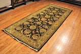 4x10 Hand Knotted Traditional Palace Runner