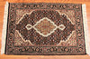 2x3 Hand Knotted Mahi Area Rug